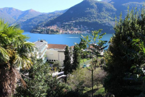 Charming Villa with Lake view in Moltrasio Moltrasio